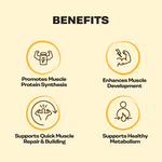 Proathlix Whey Protein Isolate with 25g Protein, 5.5g BCAA & 4.4g Glutamic Acid - Proathlix