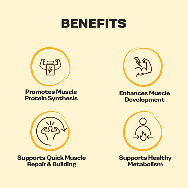 Proathlix Whey Protein Isolate with 25g Protein, 5.5g BCAA & 4.4g Glutamic Acid - Proathlix